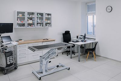 Velká ordinace