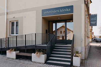 Hlavní vstup pro klienty